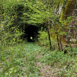 Tunnel du Sauvage
